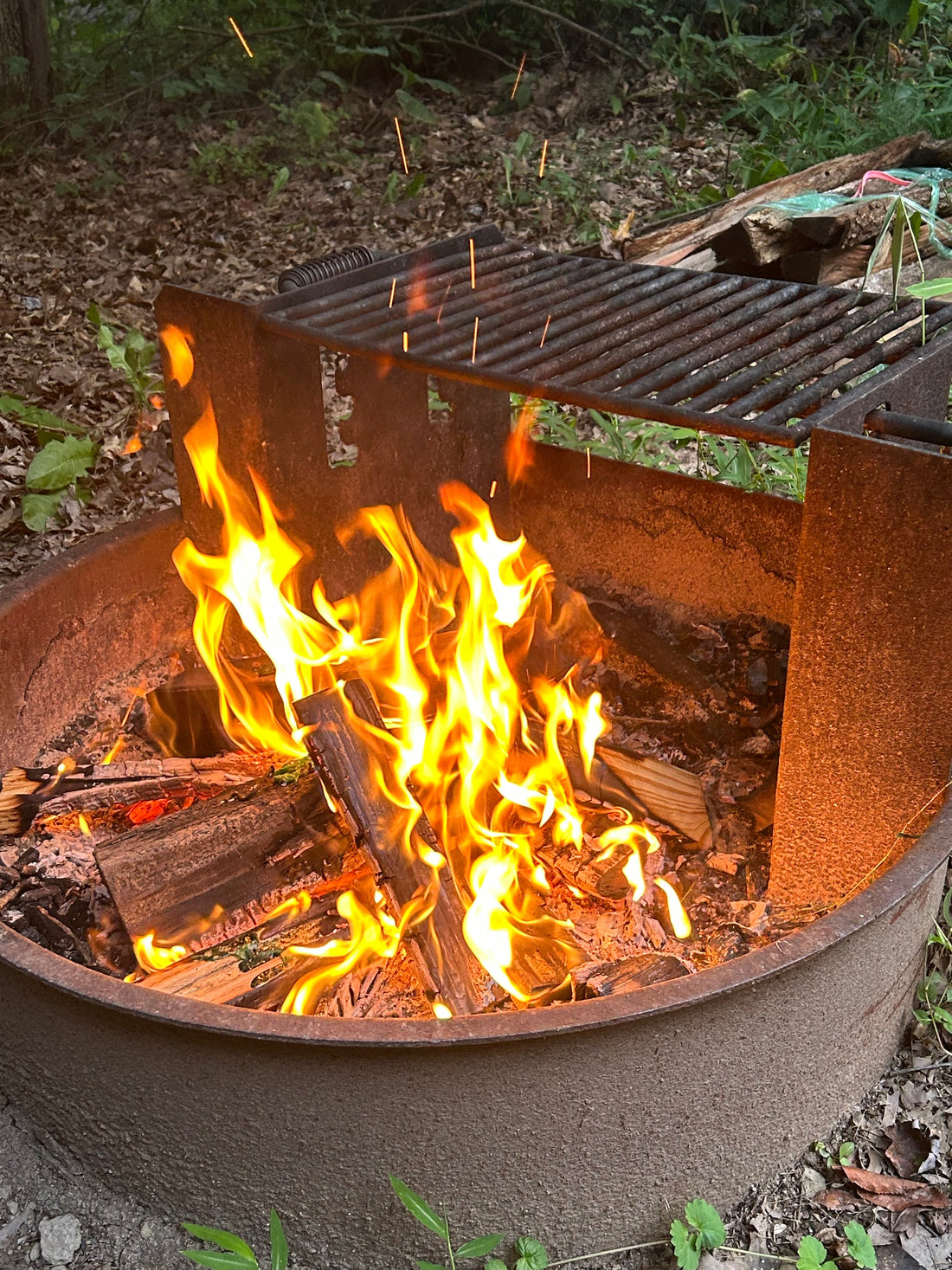 The Vital Importance of Primitive Lifestyles, Nature, and Digital Detox in 2025