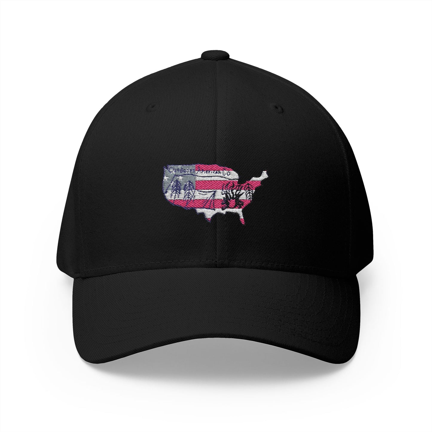 Fitted Logo Hat