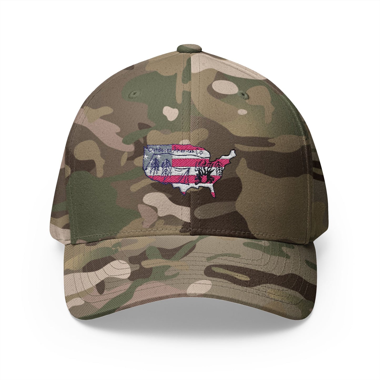 Fitted Logo Hat