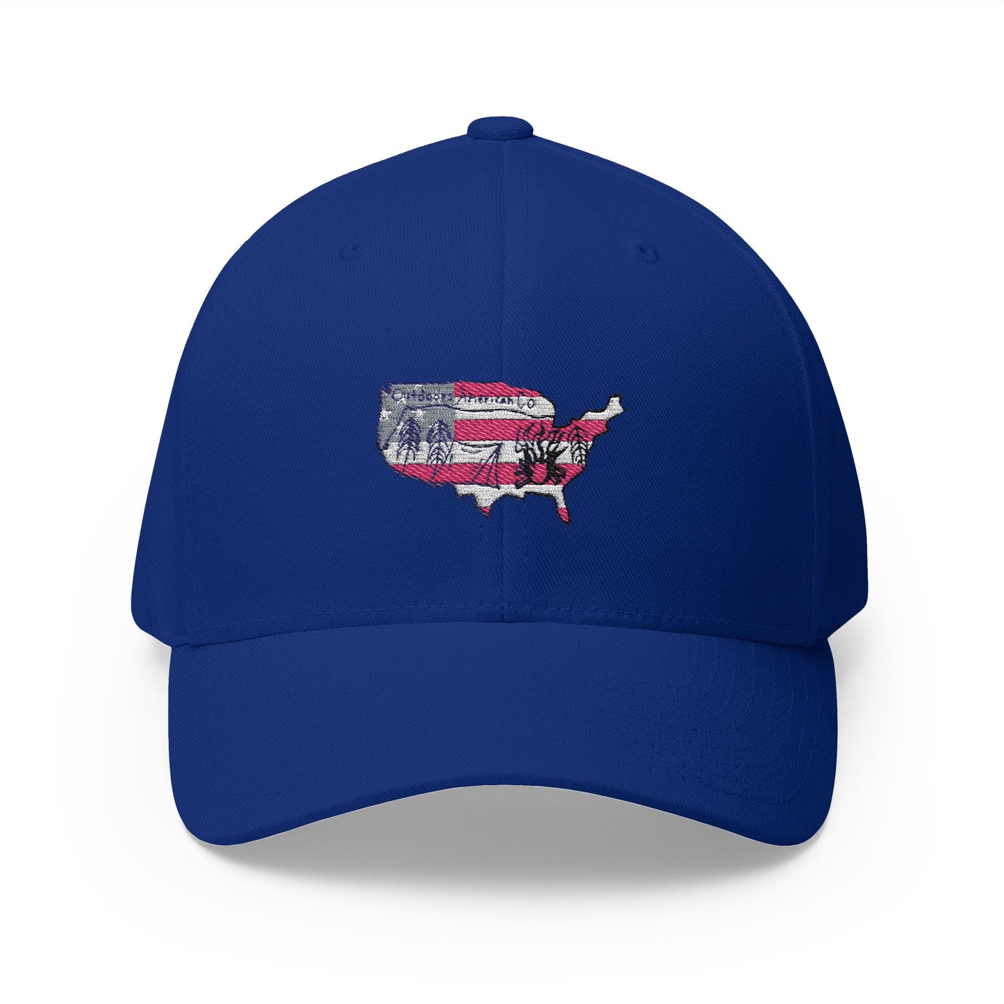 Fitted Logo Hat