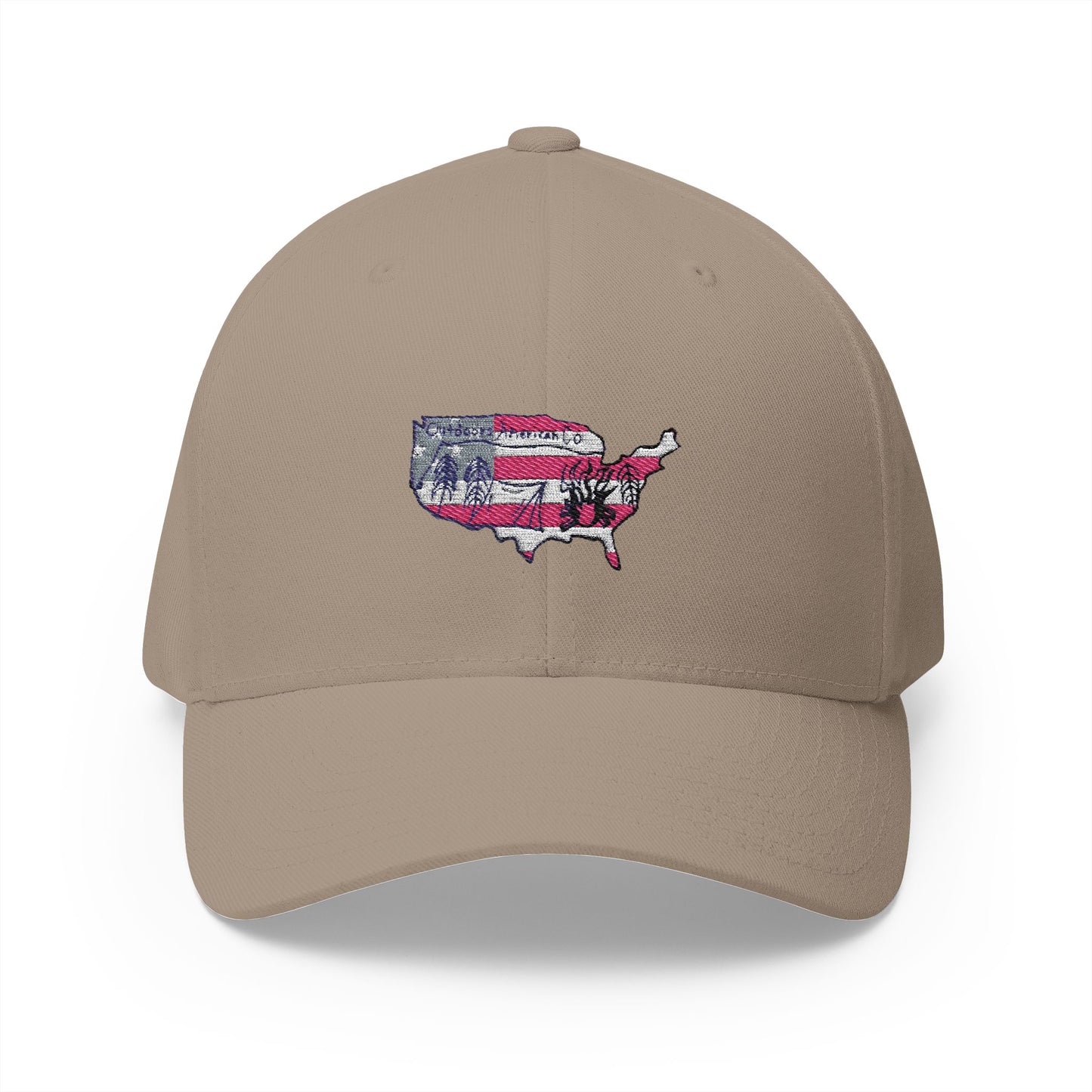 Fitted Logo Hat