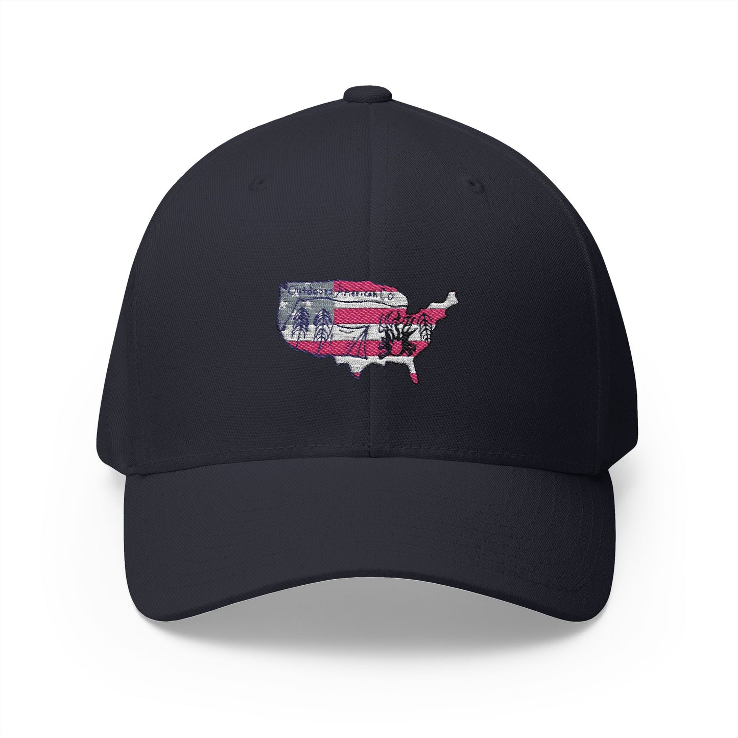 Fitted Logo Hat