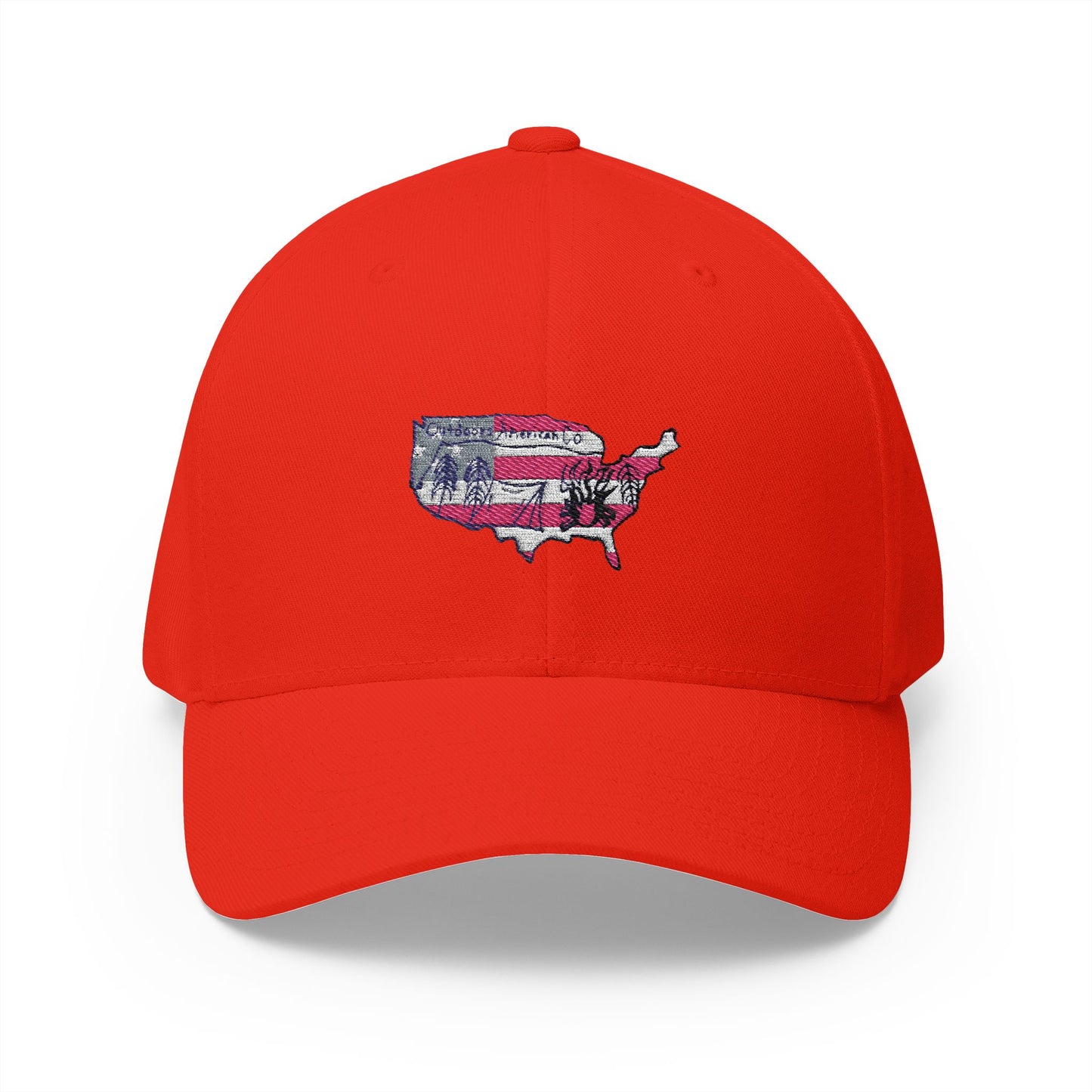 Fitted Logo Hat